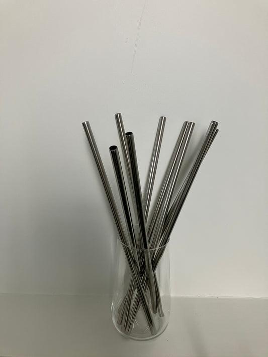 Stainless Steel Straw x2